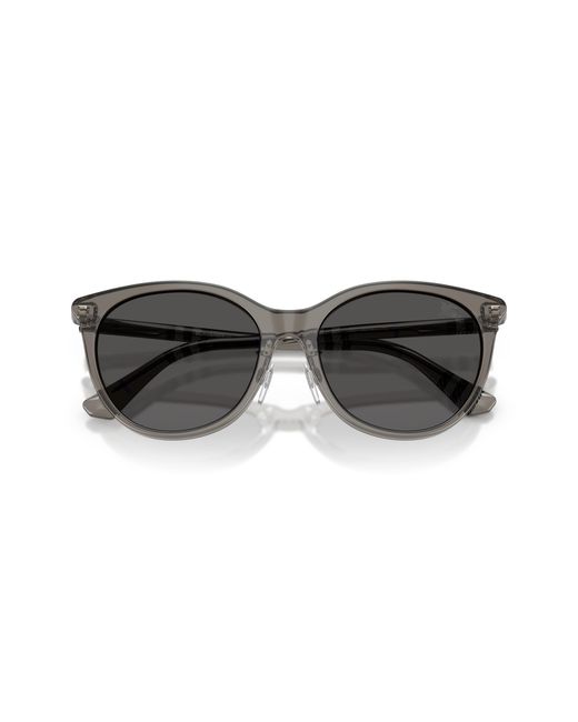 Burberry Black Be4464D 416087 Sunglasses Acetate Pantos Normal