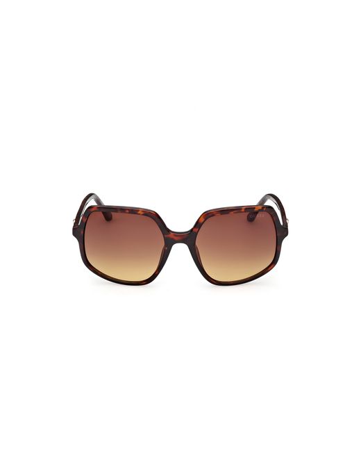 Guess Black Gu00257 52F Sunglasses Injected Squared Normal