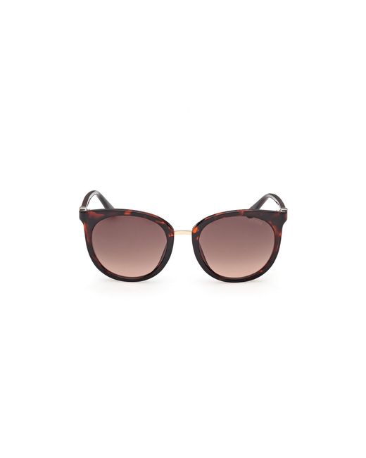 Guess Black Gu00282 52F Sunglasses Injected Round Normal