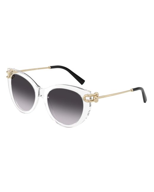 Tiffany & Co Black Tf4232 80473C Sunglasses Acetate Butterfly Normal Nuanced