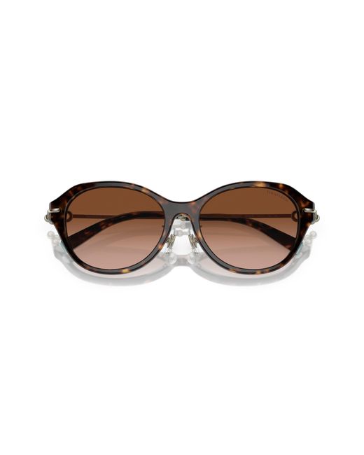Tiffany & Co Black Tf4210D 80153B Sunglasses Acetate Round Normal Shaded
