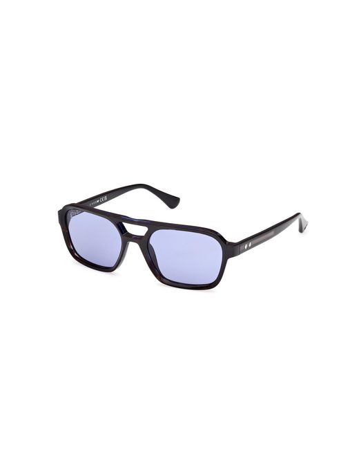 Web Black We0376 56V Sunglasses Acetate Squared Normal for men