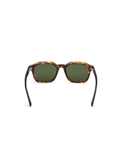 Web Green We0385 55N Sunglasses Acetate Squared Normal for men