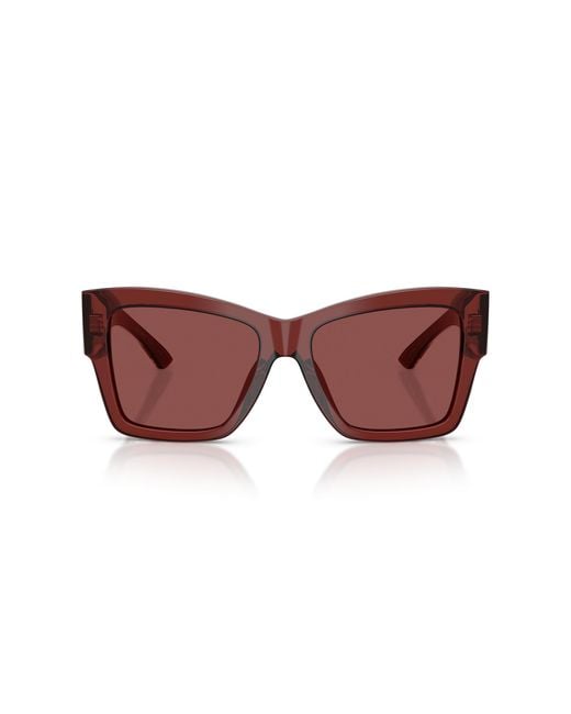 Dolce & Gabbana Black Dg4493 304575 Sunglasses Acetate Squared Normal