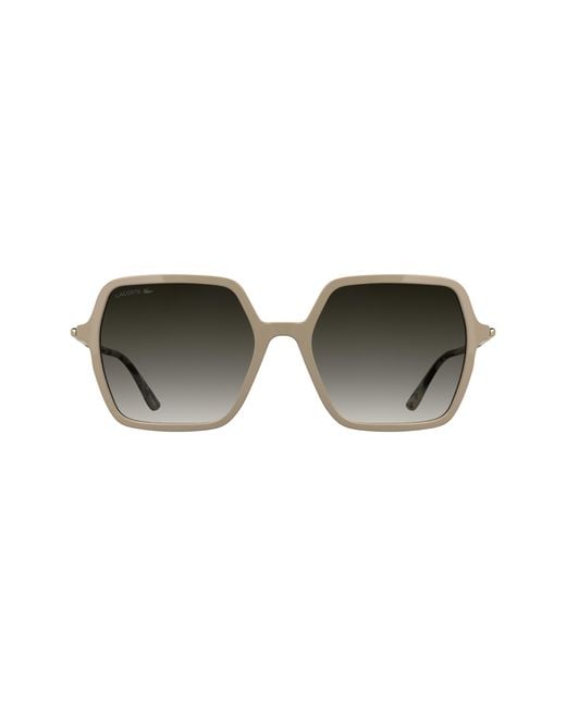 Lacoste Black L6079S 662 Sunglasses Acetate Squared Normal