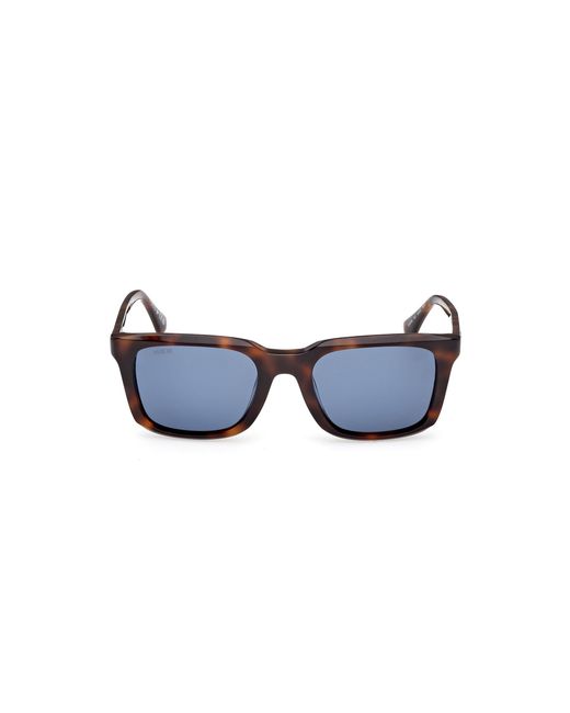 Web Black We0388 52V Sunglasses Acetate Squared Normal for men