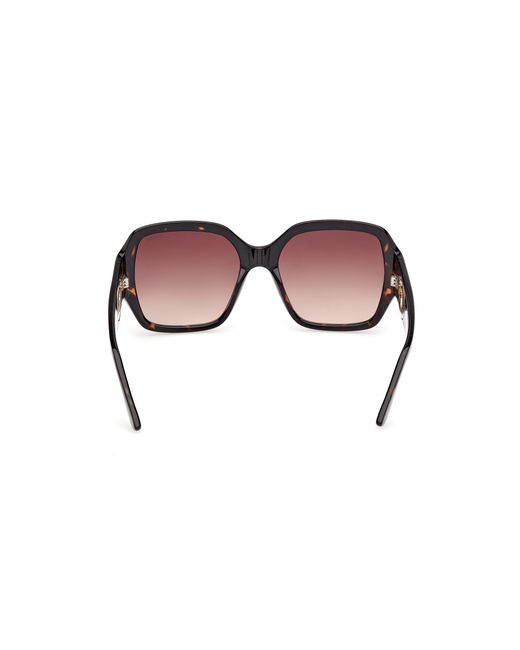 Guess Black Gu00283 52F Sunglasses Injected Squared Normal