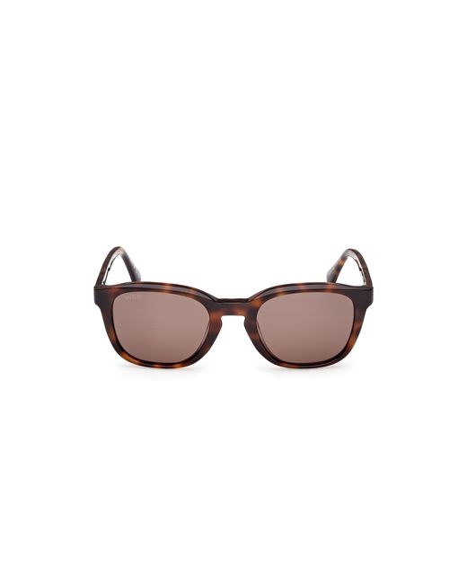 Web Black We0390 52E Sunglasses Acetate Round Normal for men