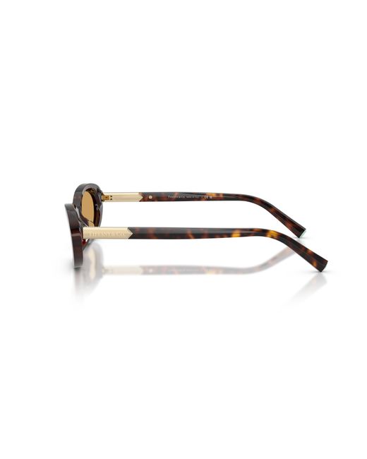 Tiffany & Co Black Tf4250 801574 Sunglasses Acetate Round Normal