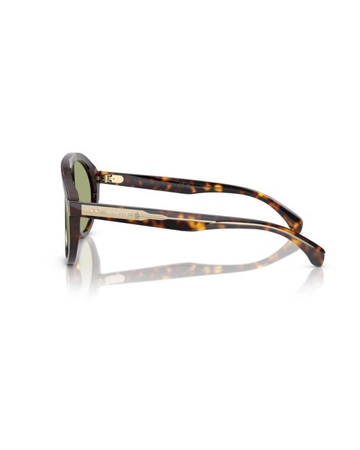 Moncler Black Me6001 Fhaite 300282 Sunglasses Acetate Pilot Normal