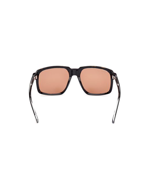 Web Black We0378 56J Sunglasses Acetate Squared Normal for men