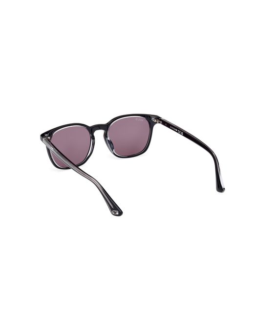 Web Black We0364 05A Sunglasses Acetate Round Normal for men