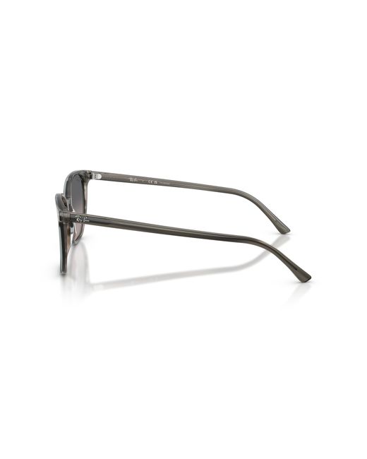 Ray-Ban Black Ray