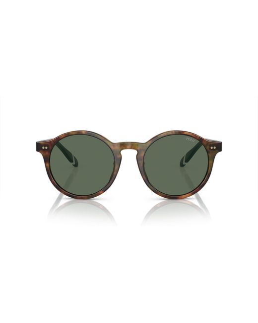 Polo Ralph Lauren Green Ph4204U 501771 Sunglasses Acetate Pantos Normal for men