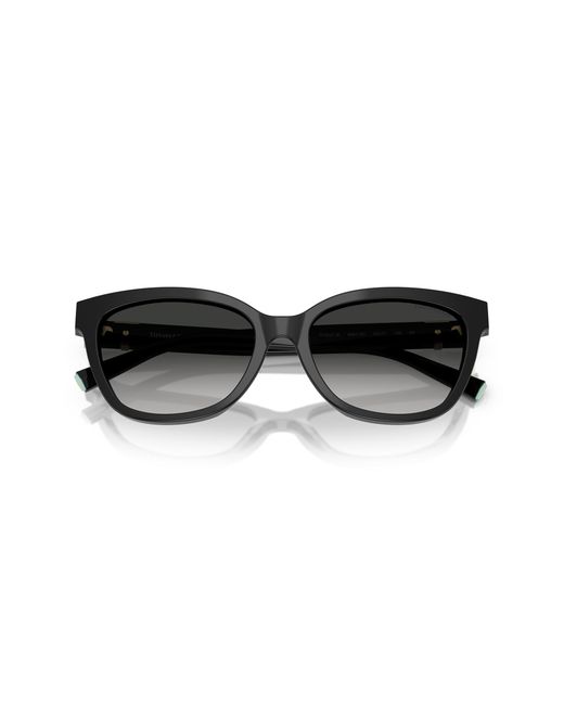 Tiffany & Co Black Tf4237B 80013C Sunglasses Acetate Cat Eye Normal Shaded