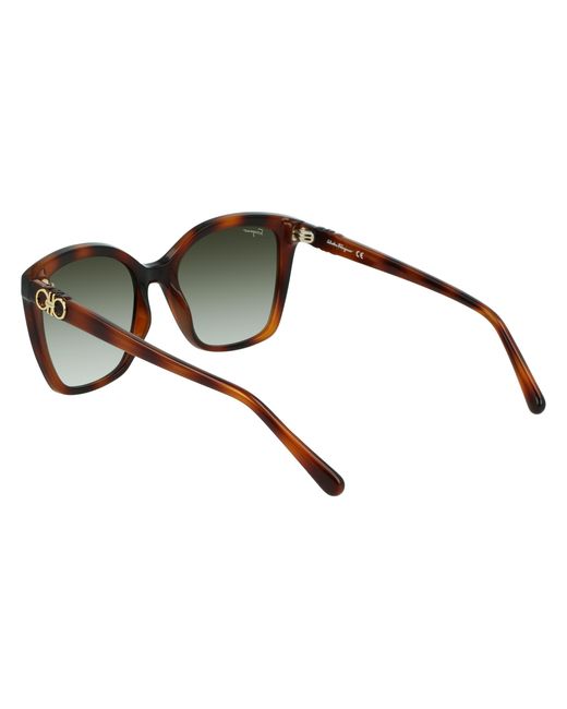Ferragamo Black Sf1026S 214 Sunglasses Injected Squared Normal Photochromatic
