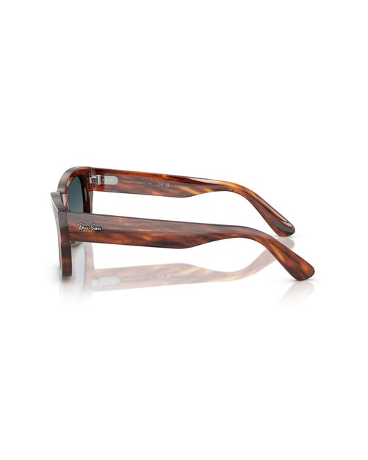 Ray-Ban Black Ray