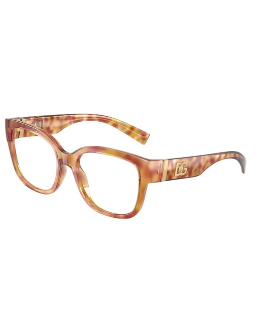 Dolce & Gabbana Black Dg5115 3477 Optical Frames Injected Transparent Butterfly Normal