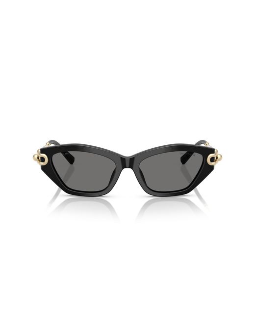 Tiffany & Co Black Tf4231U 800181 Sunglasses Acetate Cat Eye Polarized