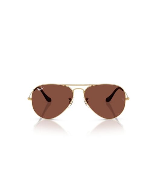 Ray-Ban Black Ray