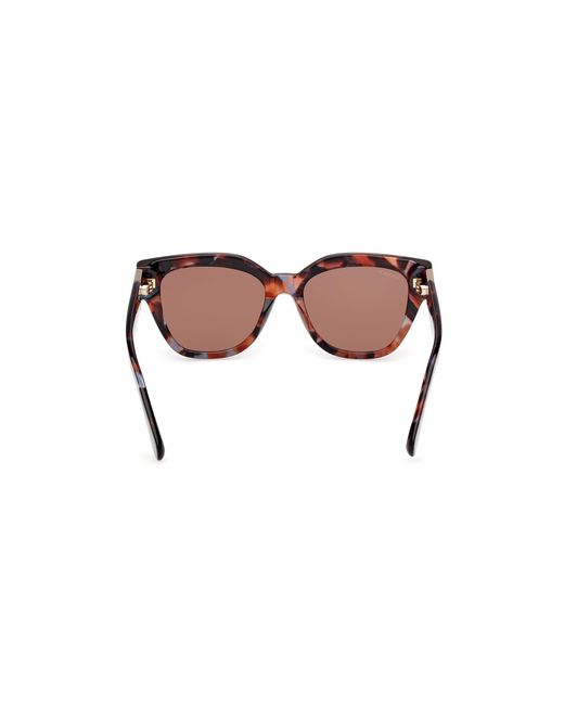 MAX&Co. Black Mo0138 54E Sunglasses Acetate Squared Normal