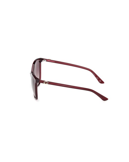 Guess Black Gu00256 69F Sunglasses Injected Cat Eye Normal