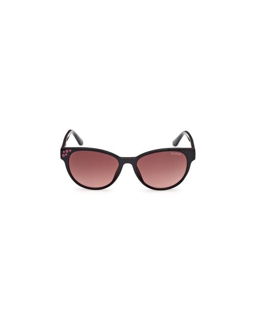 Guess Black Gu00128 01F Sunglasses Injected Cat Eye Normal