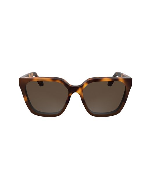 Calvin Klein Black Ck25500S 238 Sunglasses Acetate Squared Normal