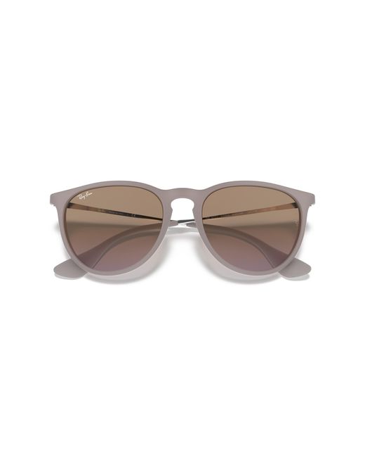 Ray-Ban Black Rb4171 Erika Round Sunglasses