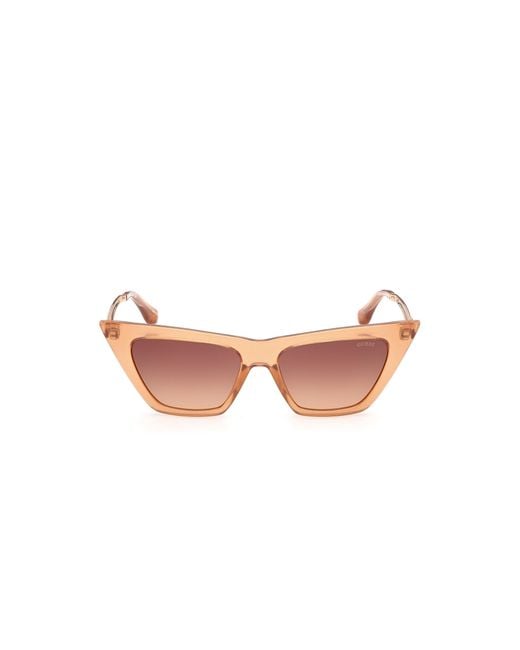 Guess Black Gu00310 44F Sunglasses Injected Cat Eye Normal