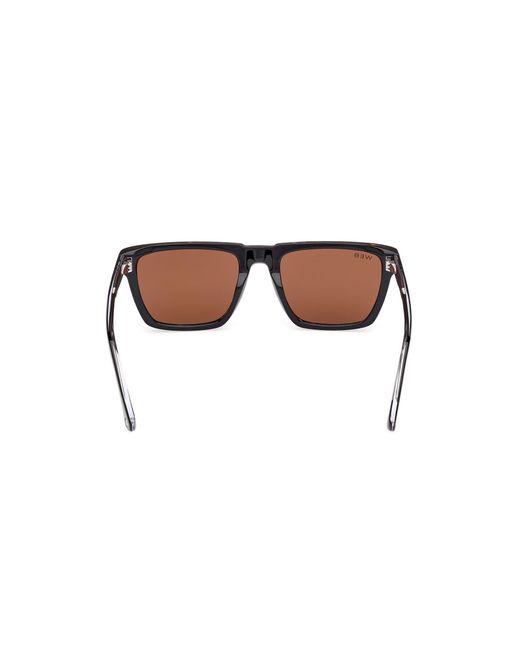 Web Black We0379 56E Sunglasses Acetate Squared Normal for men