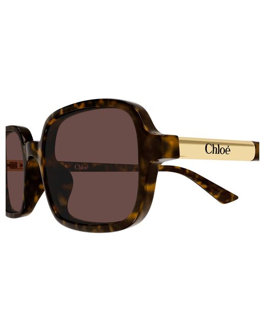 Chloé Black Ch0363S 002 Sunglasses Acetate Squared
