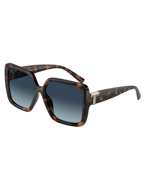Tiffany & Co Black Tf4206U 80154U Sunglasses Injected Squared Polarized Shaded