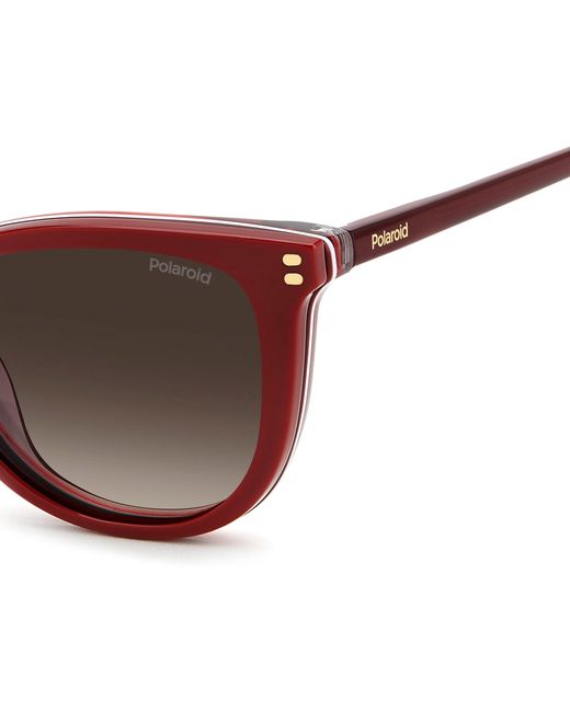 Polaroid Black Pld D605/C C9A/La Optical Frames Acetate Butterfly Polarized Nuanced