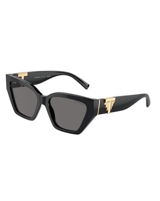 Tiffany & Co Black Tf4218 800181 Sunglasses Acetate Cat Eye Polarized
