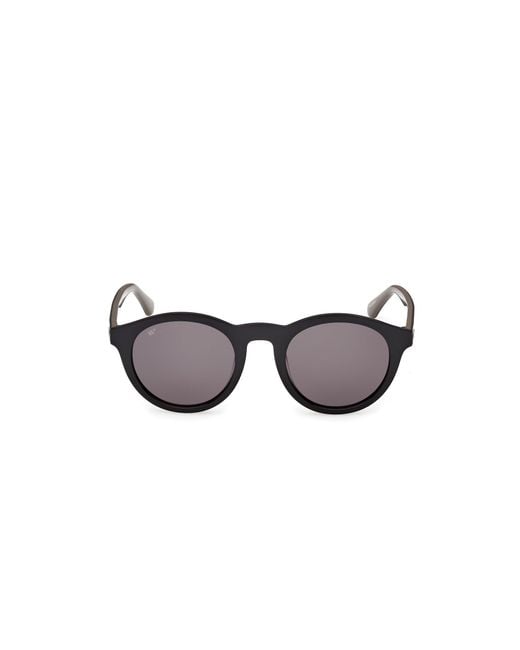 Web Black We0398 05A Sunglasses Acetate Smoke Round Normal for men