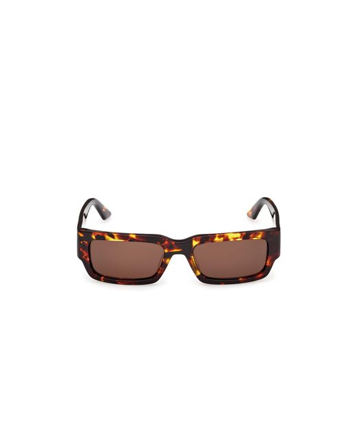 Gcds Black Gd0068 52E Sunglasses Acetate Squared Normal