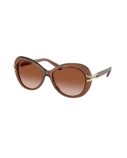 Swarovski Black Sk6026 106713 Sunglasses Acetate Butterfly Normal Shaded