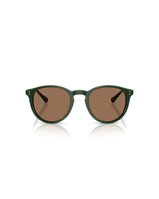 Polo Ralph Lauren Black Ph4239U 614073 Sunglasses Acetate Pantos Normal for men