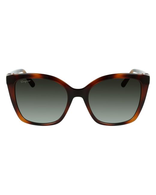 Ferragamo Black Sf1026S 214 Sunglasses Injected Squared Normal Photochromatic
