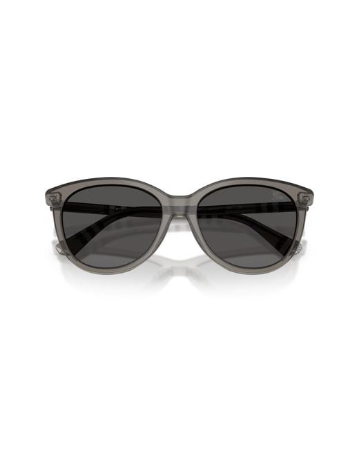 Burberry Black Be4455 416087 Sunglasses Acetate Pantos Normal