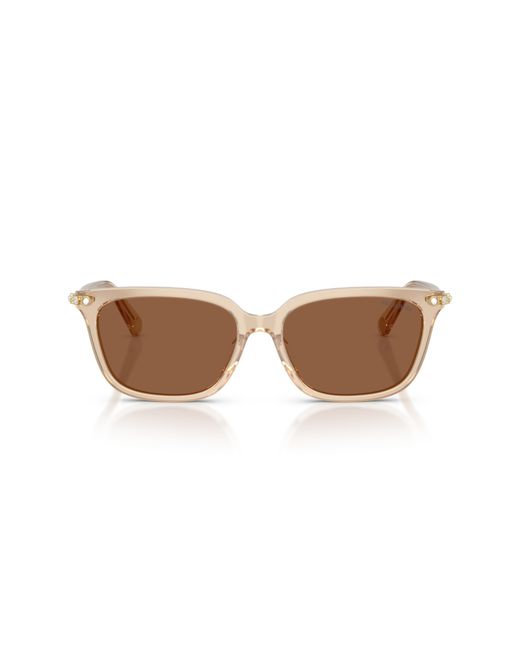 Swarovski Black Sk6064D 1034Ok Sunglasses Acetate Bronze Pillow Normal