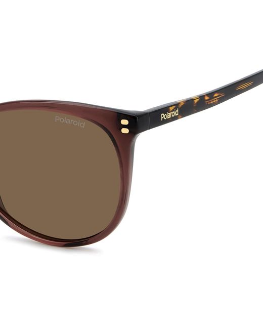 Polaroid Black Pld 4200/S/X 09Q/Sp Sunglasses Acetate Cat Eye Polarized