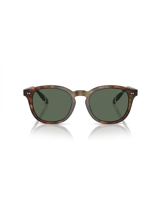 Polo Ralph Lauren Black Ph4206 501771 Sunglasses Acetate Pantos Normal for men