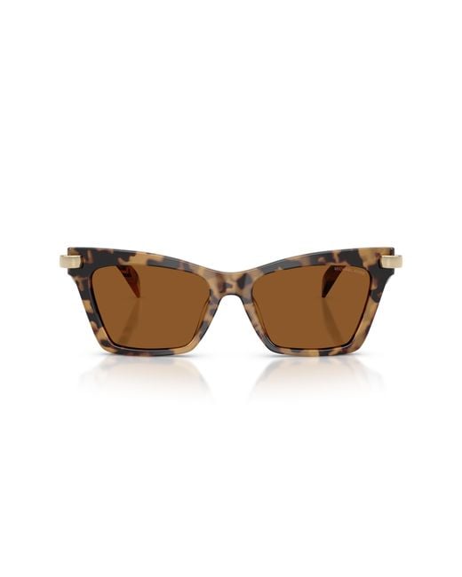 Michael Kors Black Mk2276U Grand Cayman 393073 Sunglasses Acetate Cat Eye Normal