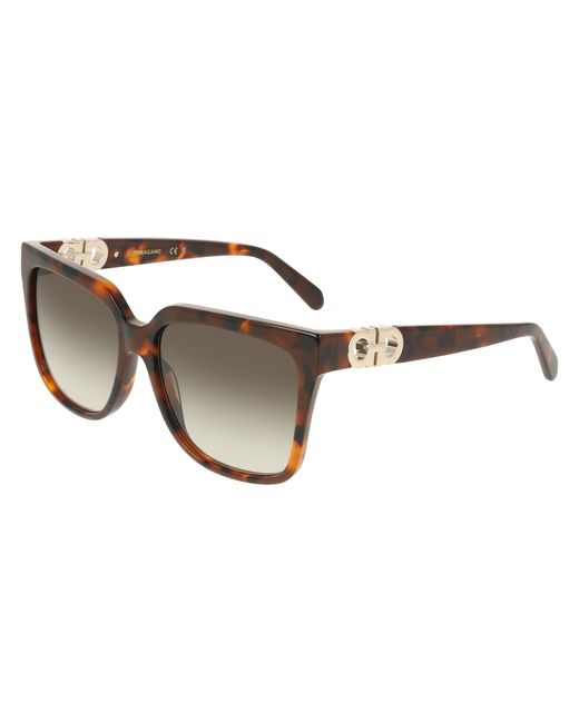 Ferragamo Black Sf2109S 240 Sunglasses Acetate Squared Normal