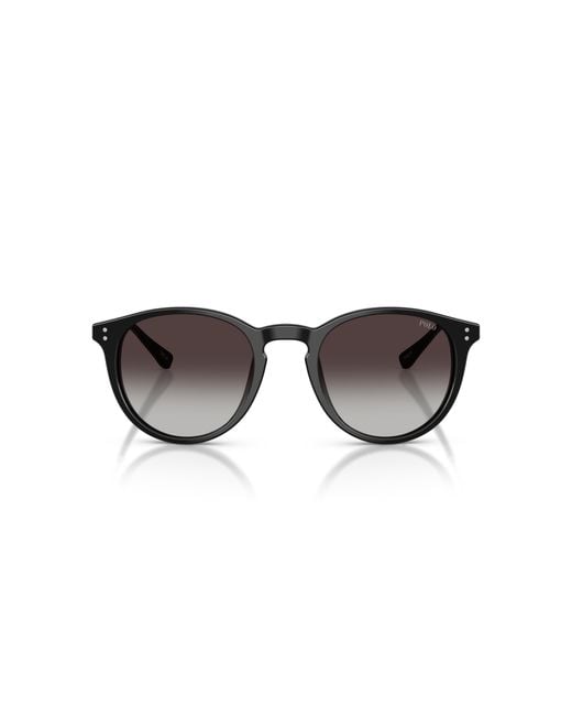 Polo Ralph Lauren Black Ph4239U 50018G Sunglasses Acetate Pantos Normal Nuanced for men