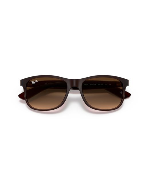Ray-Ban Black Sunglasses Man Andy - Brown Frame Brown Lenses 55-17 for men