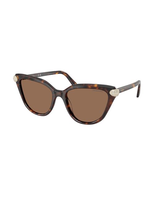 Swarovski Black Sk6039 100273 Sunglasses Acetate Cat Eye Normal