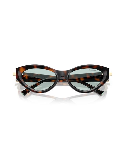 Tiffany & Co Black Tf4225U 8429D9 Sunglasses Injected Round Normal